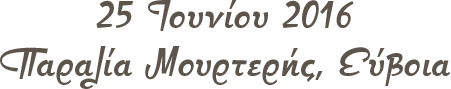 logo-below